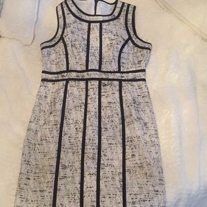 Calvin Klein Knee Length Dress